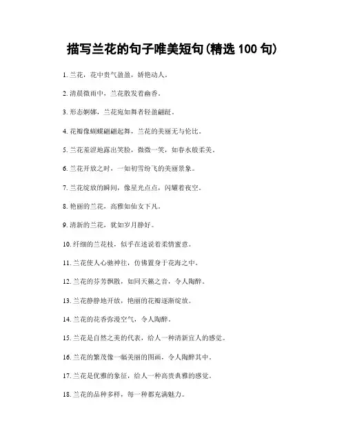 描写兰花的句子唯美短句(精选100句)