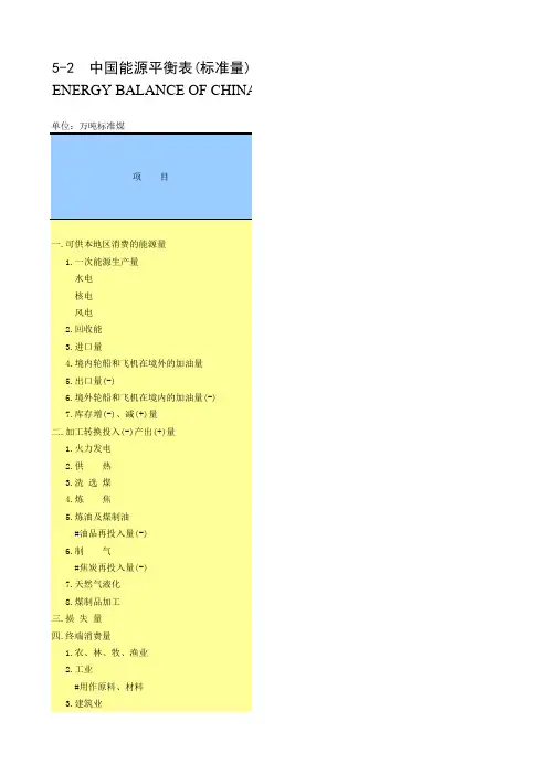 5-2  中国能源平衡表(标准量)-2010