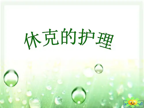 休克的护理