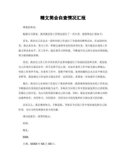 精文简会自查情况汇报