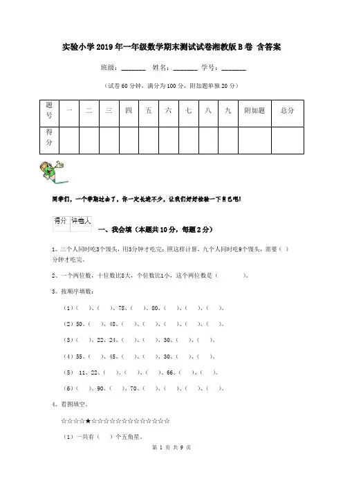 实验小学2019年一年级数学期末测试试卷湘教版B卷 含答案