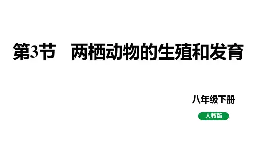7.1.3两栖动物的生殖和发育课件2022-2023学年人教版生物八年级下册