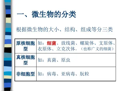 细菌的分类和鉴定