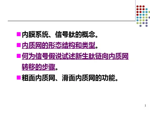 细胞生物学高尔基体