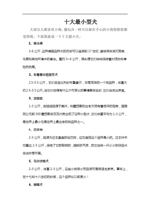 十大最小小型犬