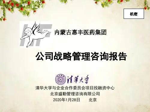 惠丰医药公司战略管理咨询报告(ppt 144页)