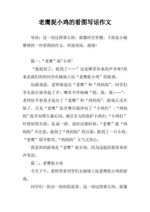 老鹰捉小鸡的看图写话作文