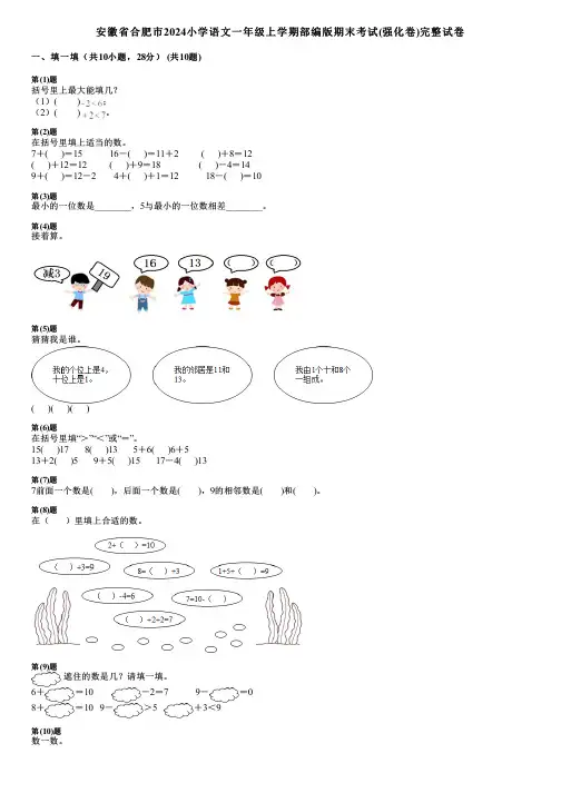 安徽省合肥市2024小学数学一年级上学期部编版期末考试(强化卷)完整试卷