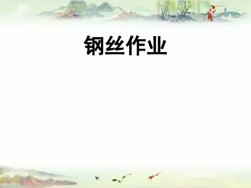 【采油 精】08  钢丝测试介绍