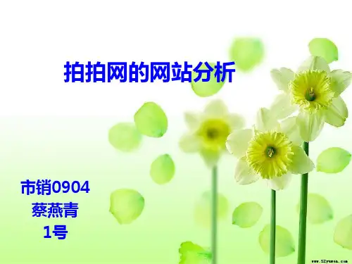 拍拍网网站分析PPT