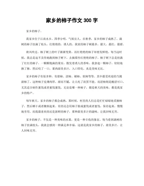 家乡的柿子作文300字
