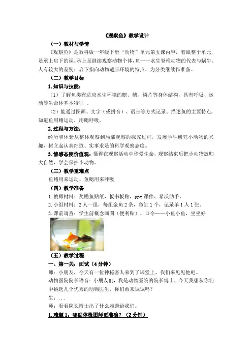 一年级下册科学教案  观察鱼