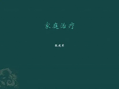 家庭治疗与婚姻治疗