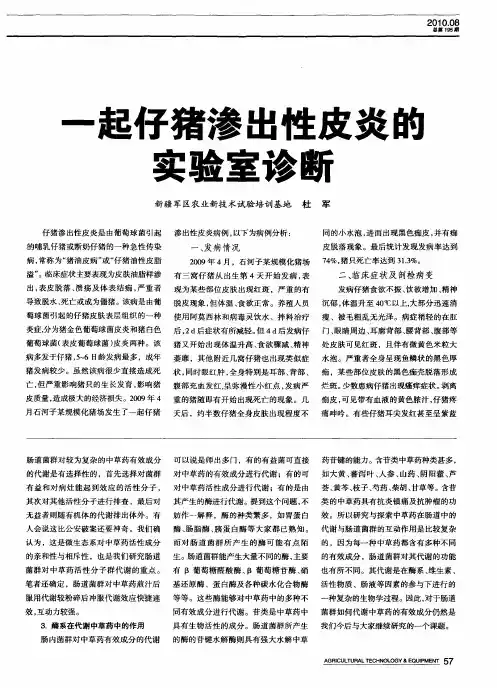 一起仔猪渗出性皮炎的实验室诊断