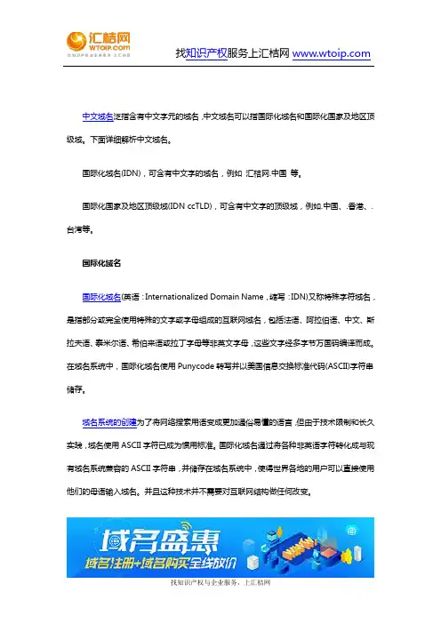 什么是中文域名