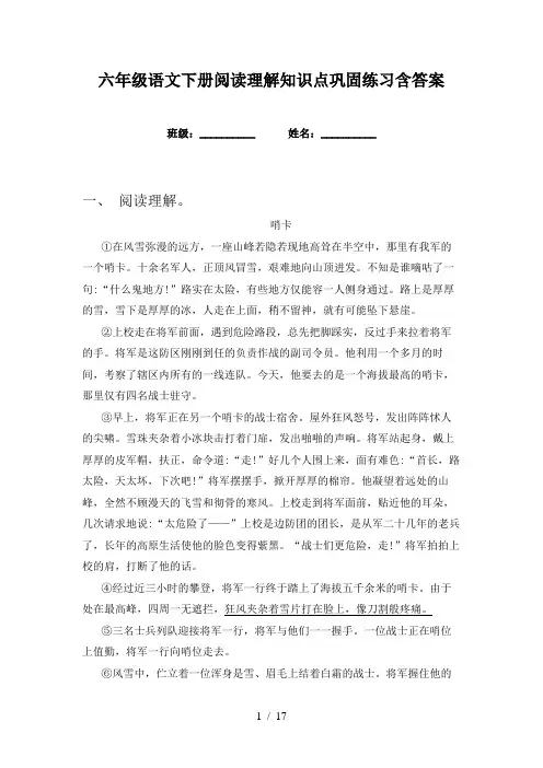 六年级语文下册阅读理解知识点巩固练习含答案