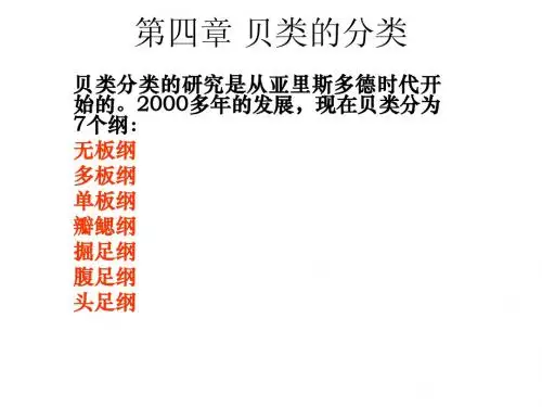 第四章_贝类的分类2