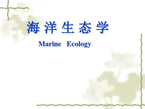 海洋生态学课件一