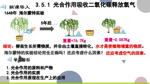 3-5-1 光合作用吸收二氧化碳释放氧气(课件)-七年级生物上册同步精品课堂(人教版)