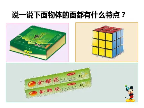 六年级数学下册课件-4.1圆柱的认识-冀教版