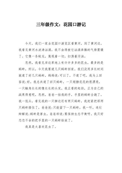 三年级作文：花园口游记