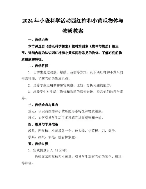 2024年小班科学活动西红柿和小黄瓜物体与物质教案