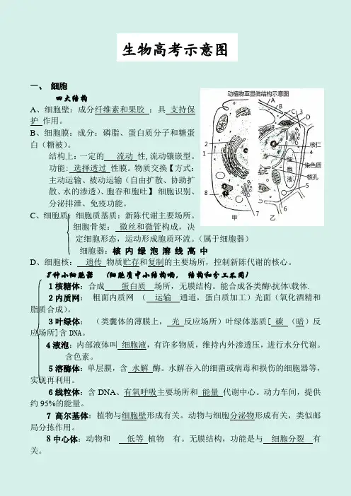 2020年新课标生物高考示意图汇总