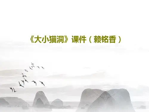 《大小猫洞》课件(赖铭香)共15页