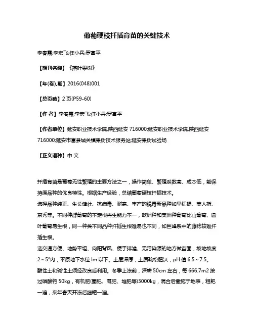 葡萄硬枝扦插育苗的关键技术