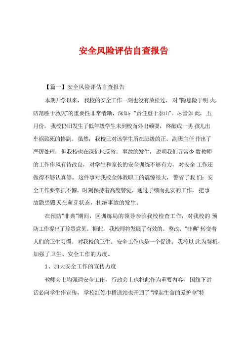 安全风险评估自查报告