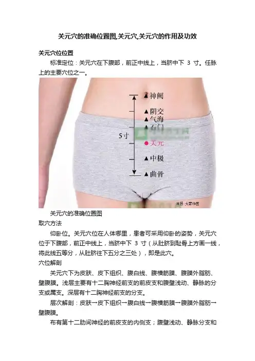关元穴的准确位置图,关元穴,关元穴的作用及功效
