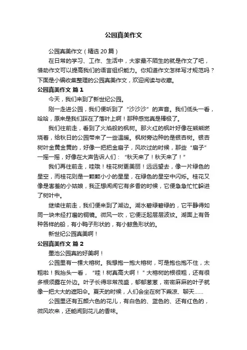 公园真美作文（精选20篇）