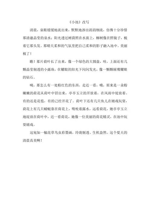 《小池》改写 作文300字