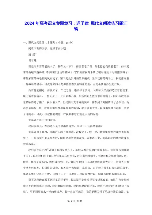 2024年高考语文专题复习：迟子建 现代文阅读练习题汇编(Word版,含答案)