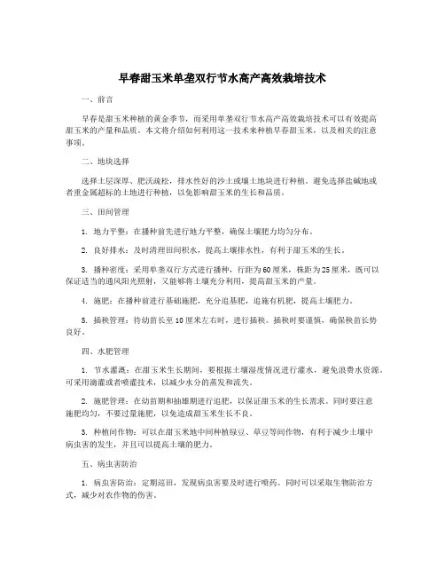 早春甜玉米单垄双行节水高产高效栽培技术