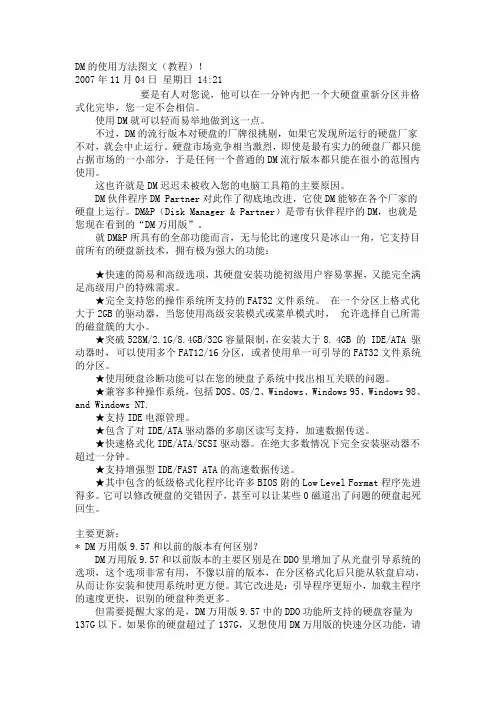 DM的使用方法图文