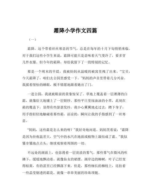 霜降小学作文四篇