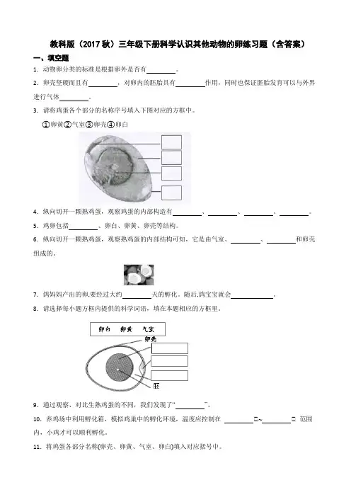 教科版(2017秋)三年级下册科学认识其他动物的卵练习题(含答案)