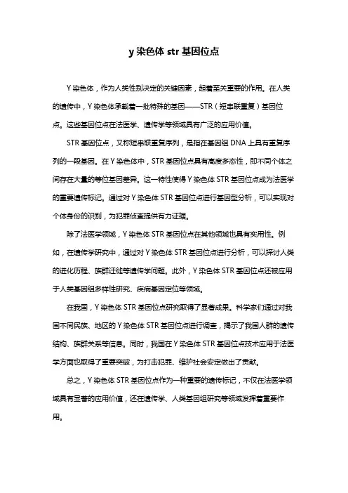 y染色体str基因位点