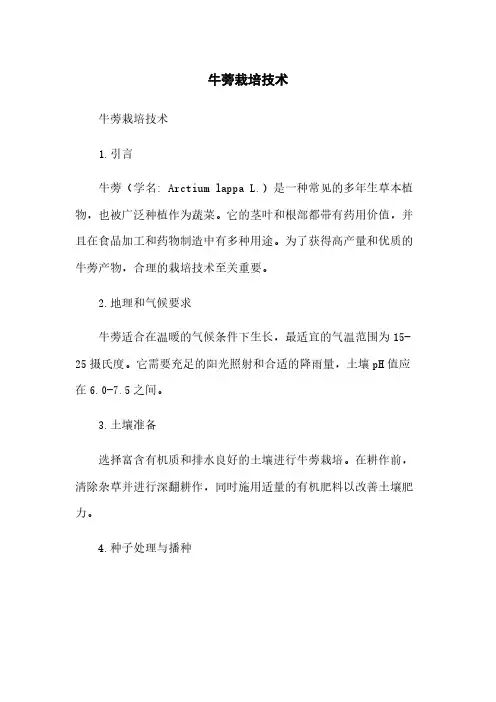 牛蒡栽培技术