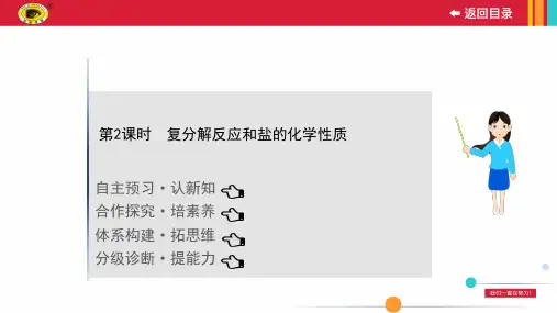 最新人教版九年级下册化学PPT教学课件11.1.2复分解反应和盐的化学性质