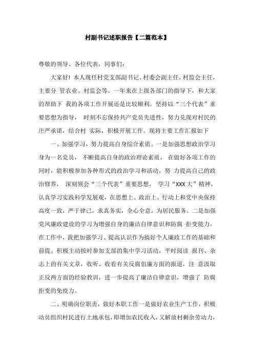 村副书记述职报告【二篇范本】
