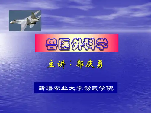 外科-概述,感染