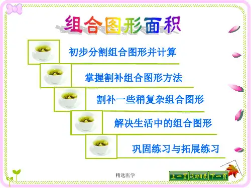 组合图形的面积详解高级课件