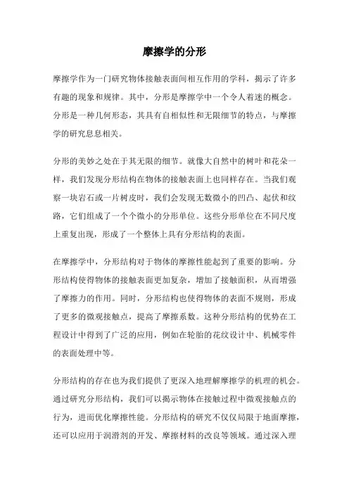 摩擦学的分形