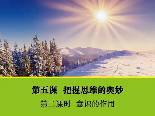 政治意识的作用课件2人教版必修4课件