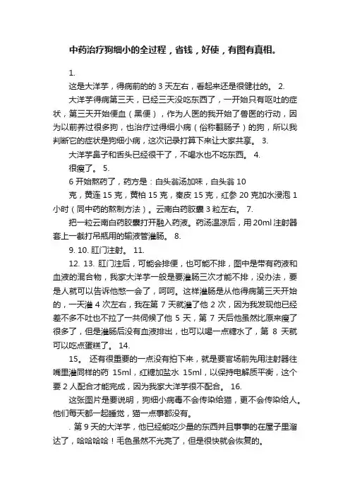中药治疗狗细小的全过程，省钱，好使，有图有真相。