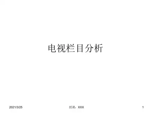 电视栏目分析PPT课件