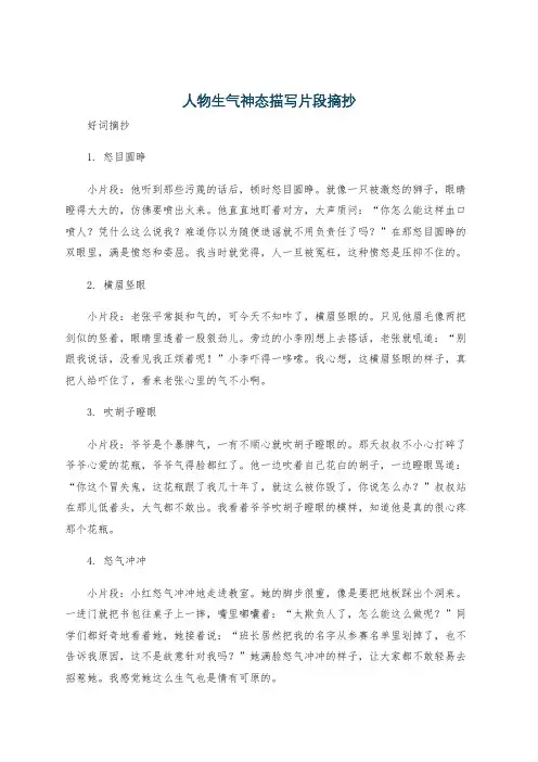 人物生气神态描写片段摘抄