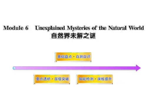 2012版高中英语全程复习方略配套课件：Module6(外研版必修4)